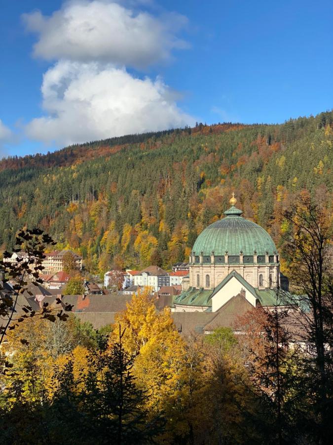 No 19 In The Black Forest St. Blasien Buitenkant foto