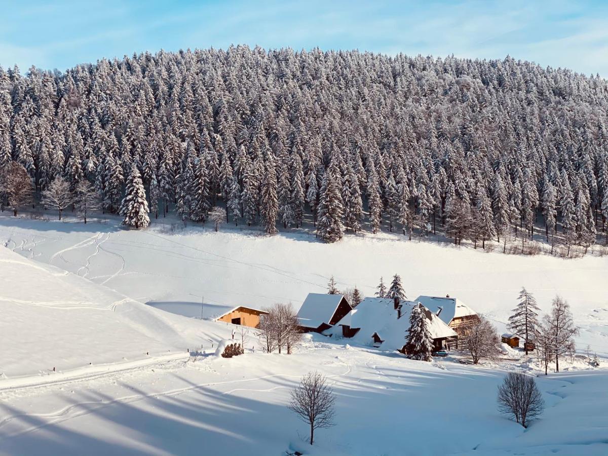 No 19 In The Black Forest St. Blasien Buitenkant foto